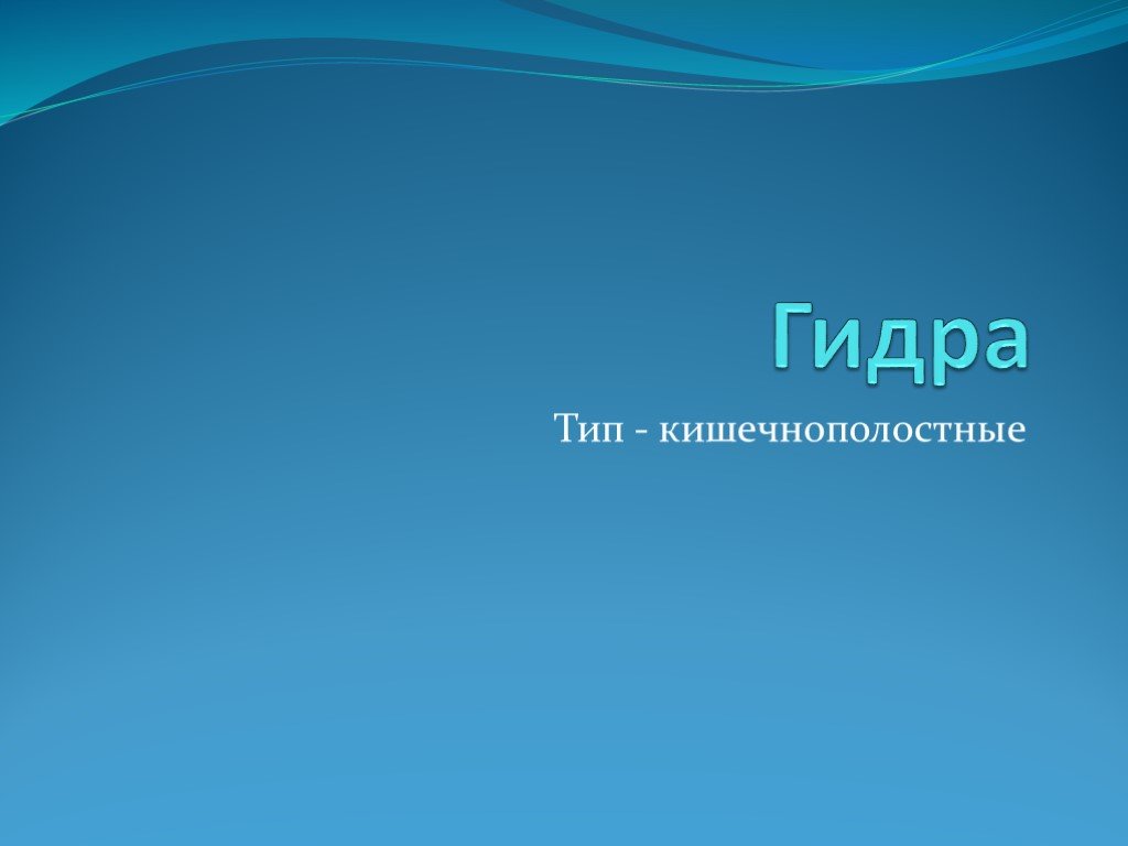 Кракен невозможно зарегистрировать пользователя