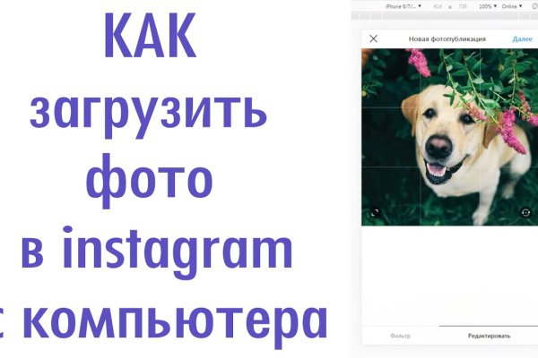 Дарк нет вход