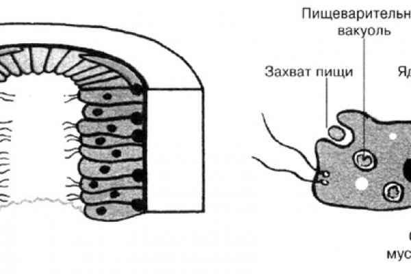 Кракен вывод средств