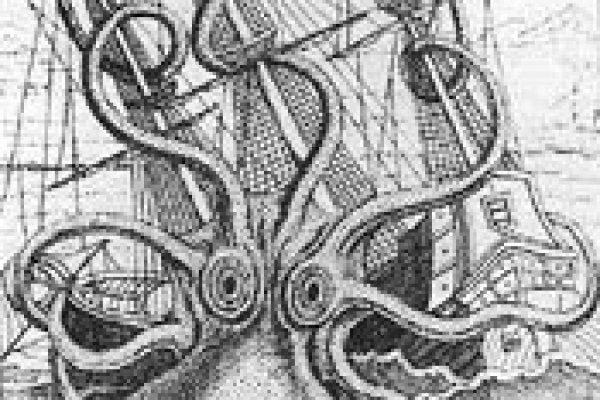Kraken 12at